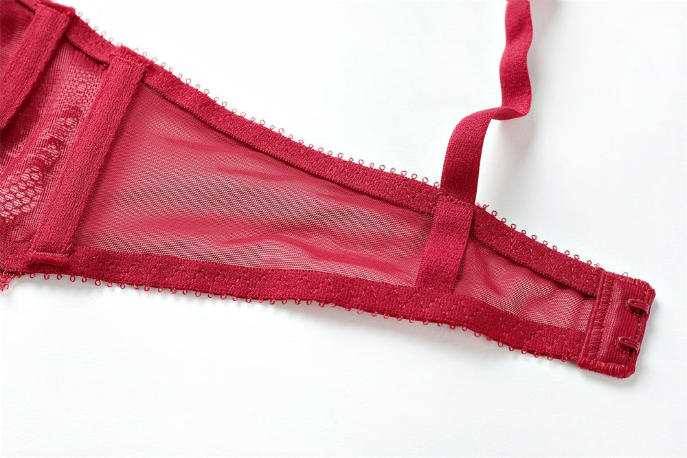 Embroidery Lace Mesh Push Up Bra Set - sharpe elegance1 embroidery-lace-mesh-bra-set,