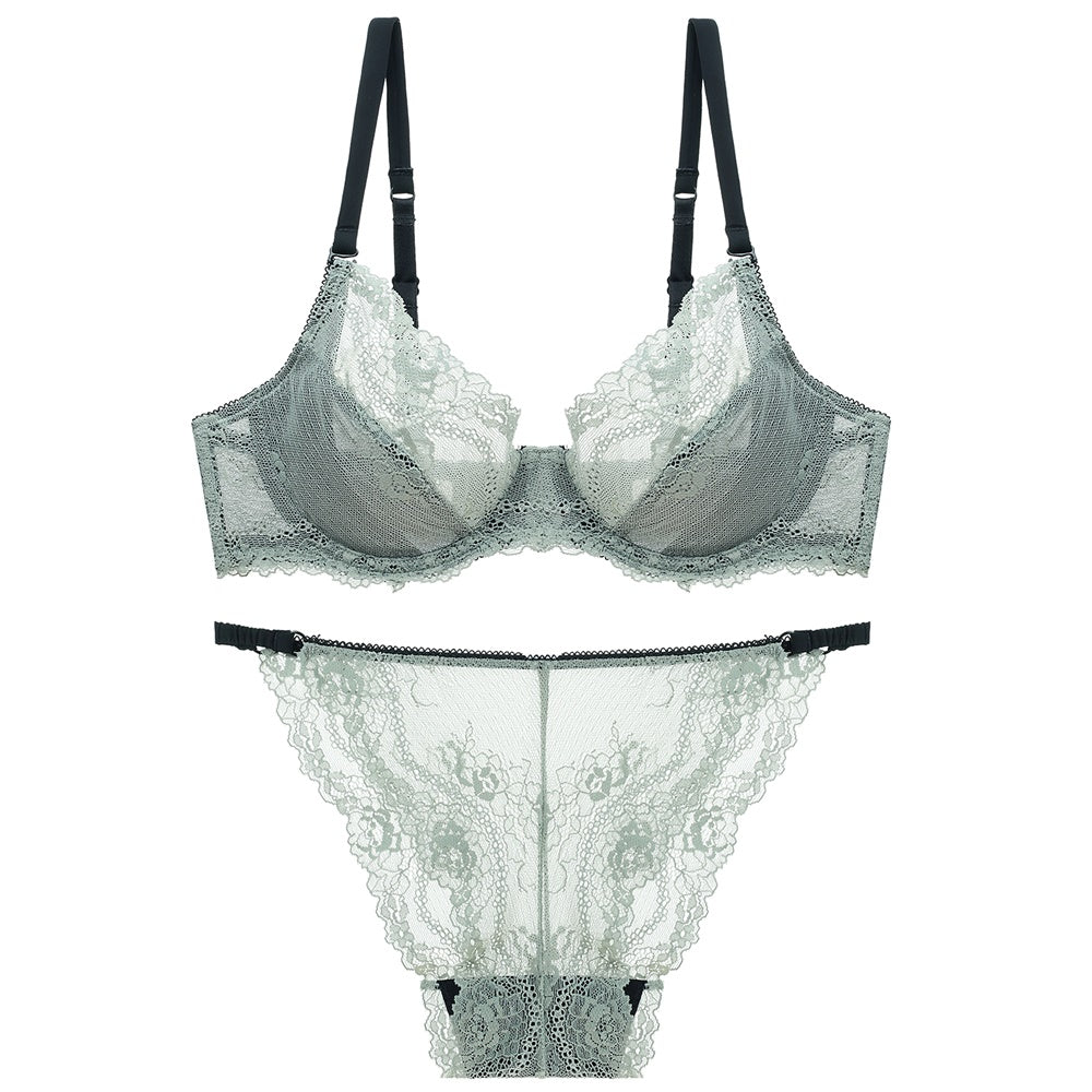 Stylish Transparent Lace Set - sharpe elegance1 signature-stylish-transparent-lace-set, 